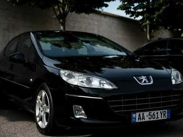 Cars: Peugot 407