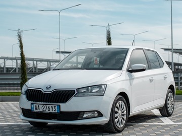 Cars: SKODA  FABIA White