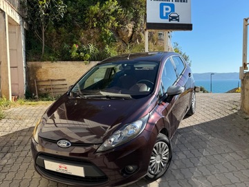 Makina: Ford Fiesta